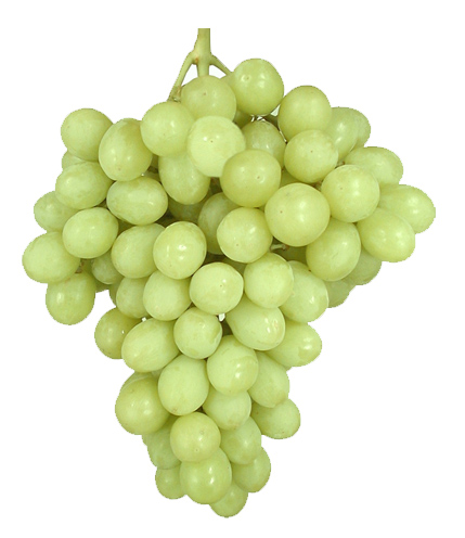 Uva blanca sin semilla